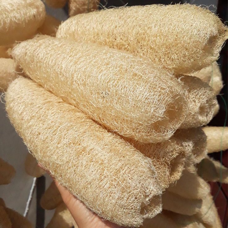 Natural Loofah Body Scrubber – Gentle, Effective, Eco-Friendly
