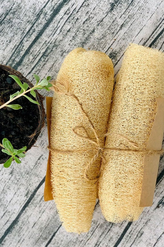 Natural Loofah Body Scrubber – Gentle, Effective, Eco-Friendly